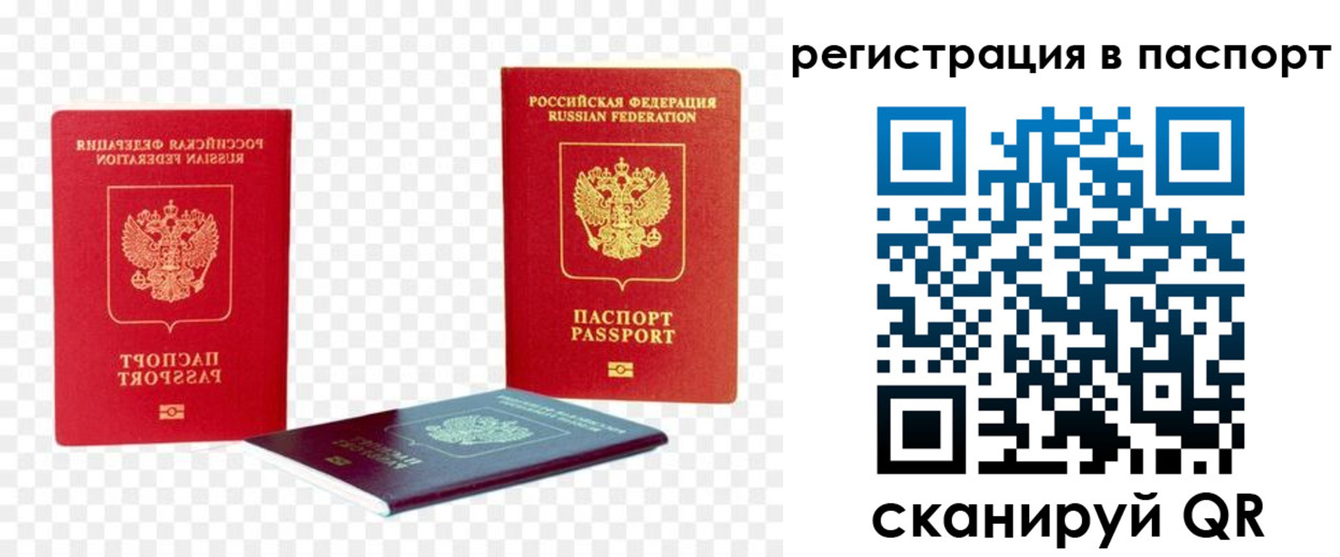 прописка от собственника в Сочи